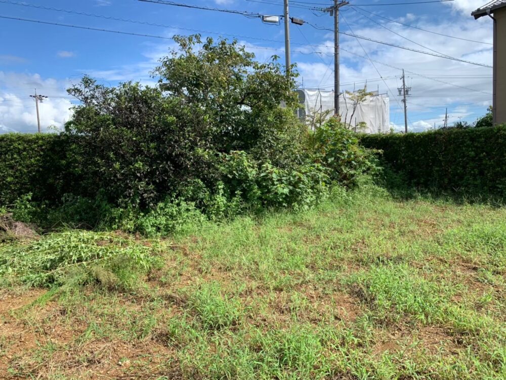 浜松市北区 樹木伐採伐根工事